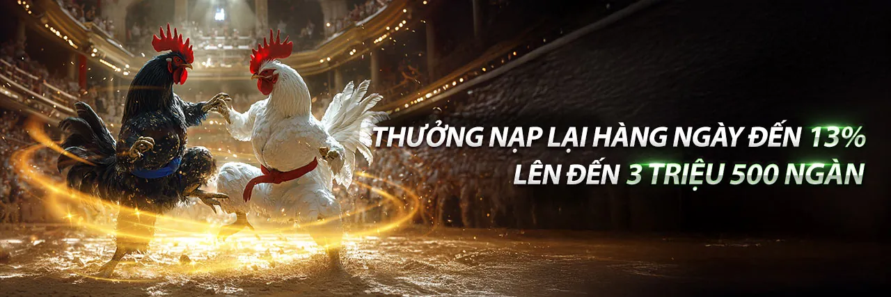 Đá Gà Trực Tuyến bet365vnd Chính Thức 2026